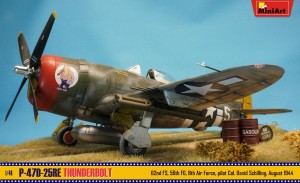 New Photos of Kits: 48009 P-47D-25RE THUNDERBOLT. BASIC KIT